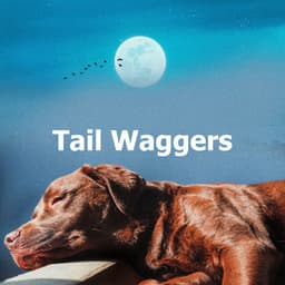 Tail Waggers - Music For Dogs