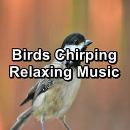 Birds Chirping Relaxing Music - Nature Bird Sounds