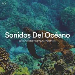 #01 Sonidos Del Océano para la Ansiedad Y la Dificultad Para Dormir - Olas del Mar