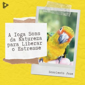 A Ioga Sons da Natureza para Liberar o Estresse - Sonolento Jose