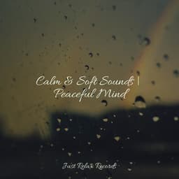 Calm & Soft Sounds | Peaceful Mind - Sleep Music Lullabies