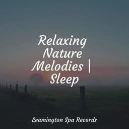 Relaxing Nature Melodies | Sleep - Nature & Sounds Background