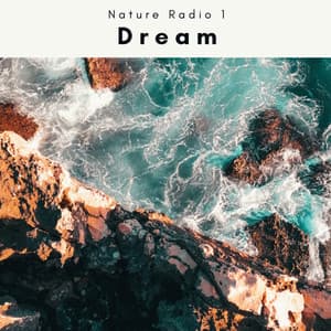 Dream - Nature Radio 1
