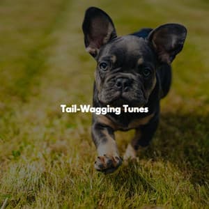 Tail-Wagging Tunes - Monday Morning Jazz Playlist