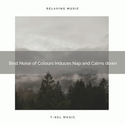 Best Noise of Colours Induces Nap and Calms down - Sleep Dimension
