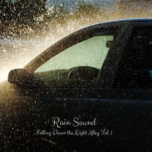 Rain Sound: Falling Down the Night Alley Vol. 1 - Spa Music Station