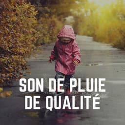 Son de Pluie de Qualité - Pluie et tonnerre