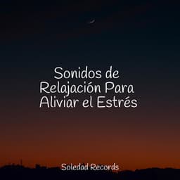 Sonidos de Relajación Para Aliviar el Estrés - Musica Relajante New Age Culture