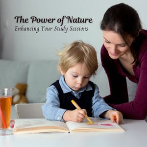 The Power of Nature: Enhancing Your Study Sessions - Beautiful Nature Sounds
