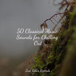 50 Classical Music Sounds for Chilling Out - Rising Higher Meditation