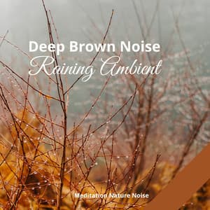 Raining Ambient and Deep Brown Noise with Violin and Cello - Meditation Music