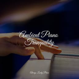 50 Piano Songs for Complete Stress Relief and Peaceful Ambience - Chillout Cafe Music