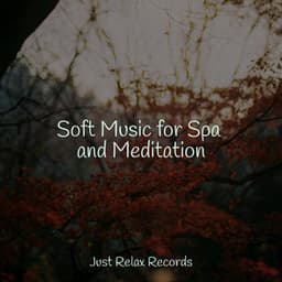 Soft Music for Spa and Meditation - Spa