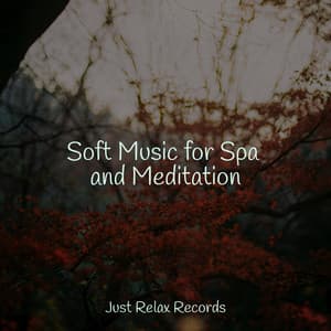 Soft Music for Spa and Meditation - Spa