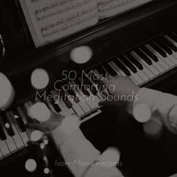 50 Most Comforting Meditation Sounds - Piano for Studying
