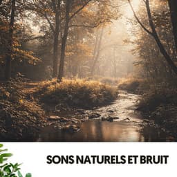Sons Naturels et Bruit : Berceau de Gouttes - Música Relajante Para Leer
