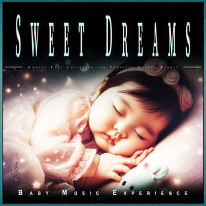 Sweet Dreams: Gentle Baby Lullabies for Peaceful Starry Nights - Baby Music Experience