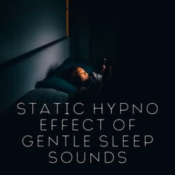 Static Hypno Effect of Gentle Sleep Sounds - Sleep Therapist