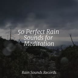50 Perfect Rain Sounds for Meditation - Canción de Cuna