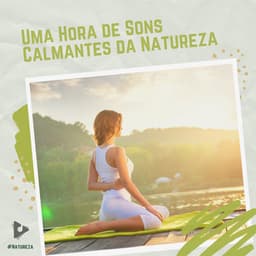 1 Hora de Sons Calmantes da Natureza - #Natureza