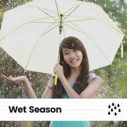 Wet Season - Baby Sleep Rain