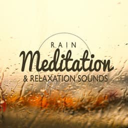 Rain Meditation & Relaxation Sounds - Rain Sounds