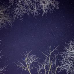 50 White Noise Sounds For Sleeping: Restful Breeze - White Noise