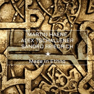 Made In Ethno - Martin Haene