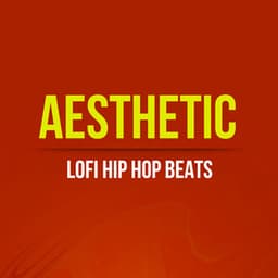 Aesthetic LoFi Hip Hop Beats - Aesthetic Music