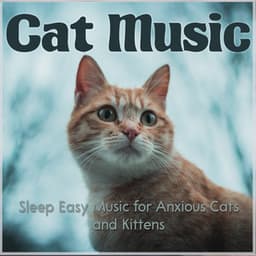 Cat Music: Sleep Easy Music for Anxious Cats and Kittens - Cat Music Dreams