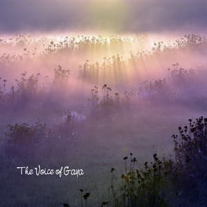 The Voice of Gaya - Bruit De La Mer