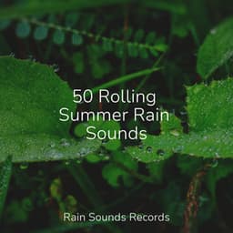 50 Rolling Summer Rain Sounds - Deep Sleep Relaxation