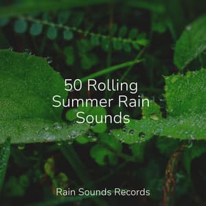 50 Rolling Summer Rain Sounds - Deep Sleep Relaxation