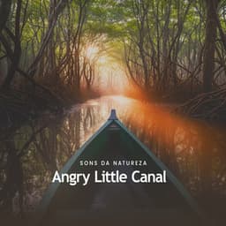 Angry Little Canal - Sons da Natureza