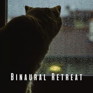 Binaural Retreat: Comforting Rain Sounds for Blissful Cats - Let It Rain