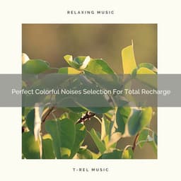 Perfect Colorful Noises Selection For Total Recharge - Sleep Noise