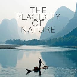 The Placidity of Nature - Ambiance nature