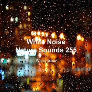 White Noise 255 - White Noise
