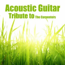 Acoustic Guitar: Tribute to the Carpenters - Acoustic Guitar Tribute Players