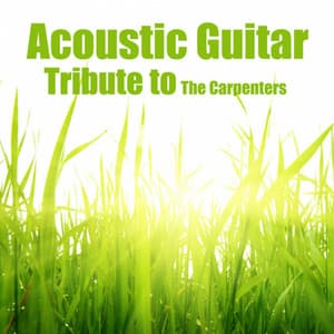 Acoustic Guitar: Tribute to the Carpenters - Acoustic Guitar Tribute Players