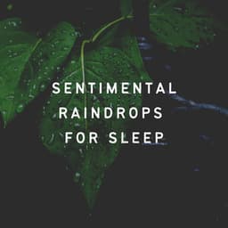 Sentimental Raindrops for Sleep - 24H Rain Sounds