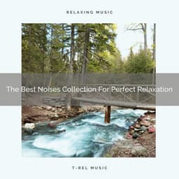 The Best Noises Collection For Perfect Relaxation - Brown Noise Therapy / Baby White Noise