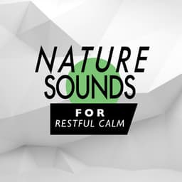 Nature Sounds for Restful Calm - Sweet Baby Sleep Baby