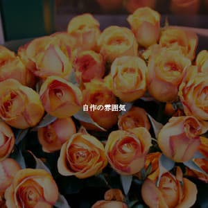 自作の雰囲気 - Quebec Jazz Lounge