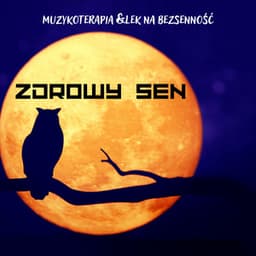 Zdrowy Sen – Muzykoterapia & Lek na Bezsenność - Muzyka Relaksacyjna do Snu