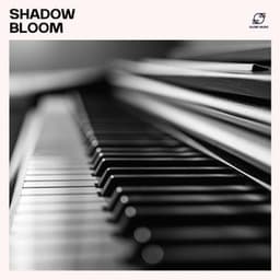 Shadow Bloom - Relaxing Piano