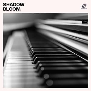 Shadow Bloom - Relaxing Piano