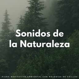 Sonidos De La Naturaleza: Piano Meditativo Ambiental Con Melodías De Grillos - Grillos Cantantes