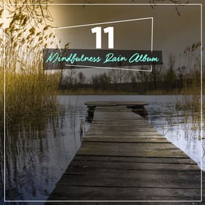 #20 Gentle Rain Songs to Calm the Mind & Relax - Sounds of Nature Relaxation