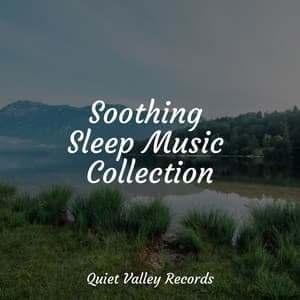 Soothing Sleep Music Collection - Weather Sounds